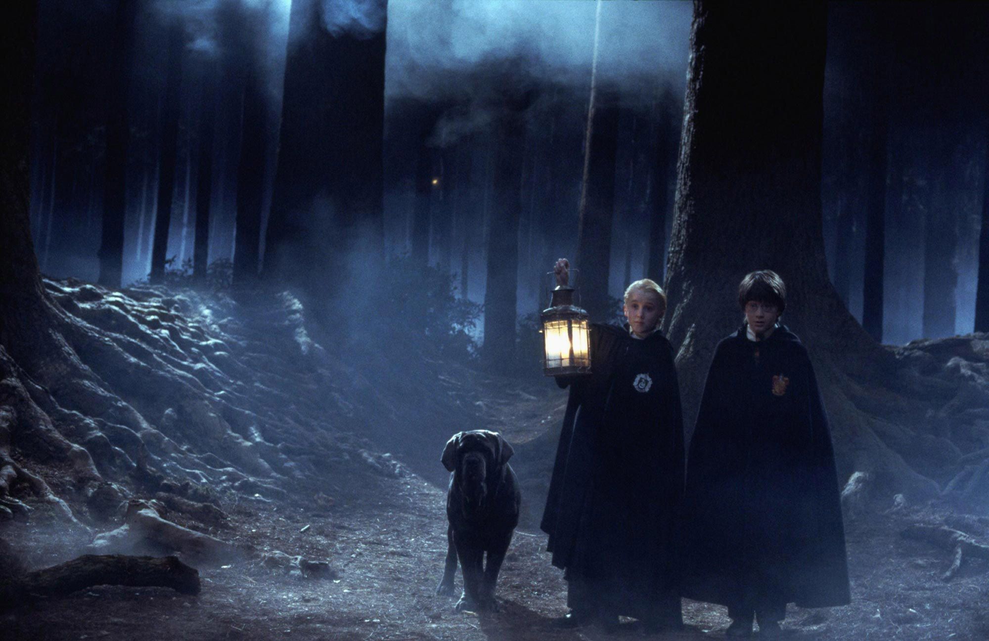 2000x1297 Soon You Can Actually Visit The Forbidden Forest From Harry Potter