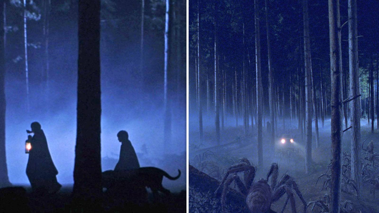 1600x900 Harry Potter: 10 Forbidden Forest Scenes Cut From The Movies