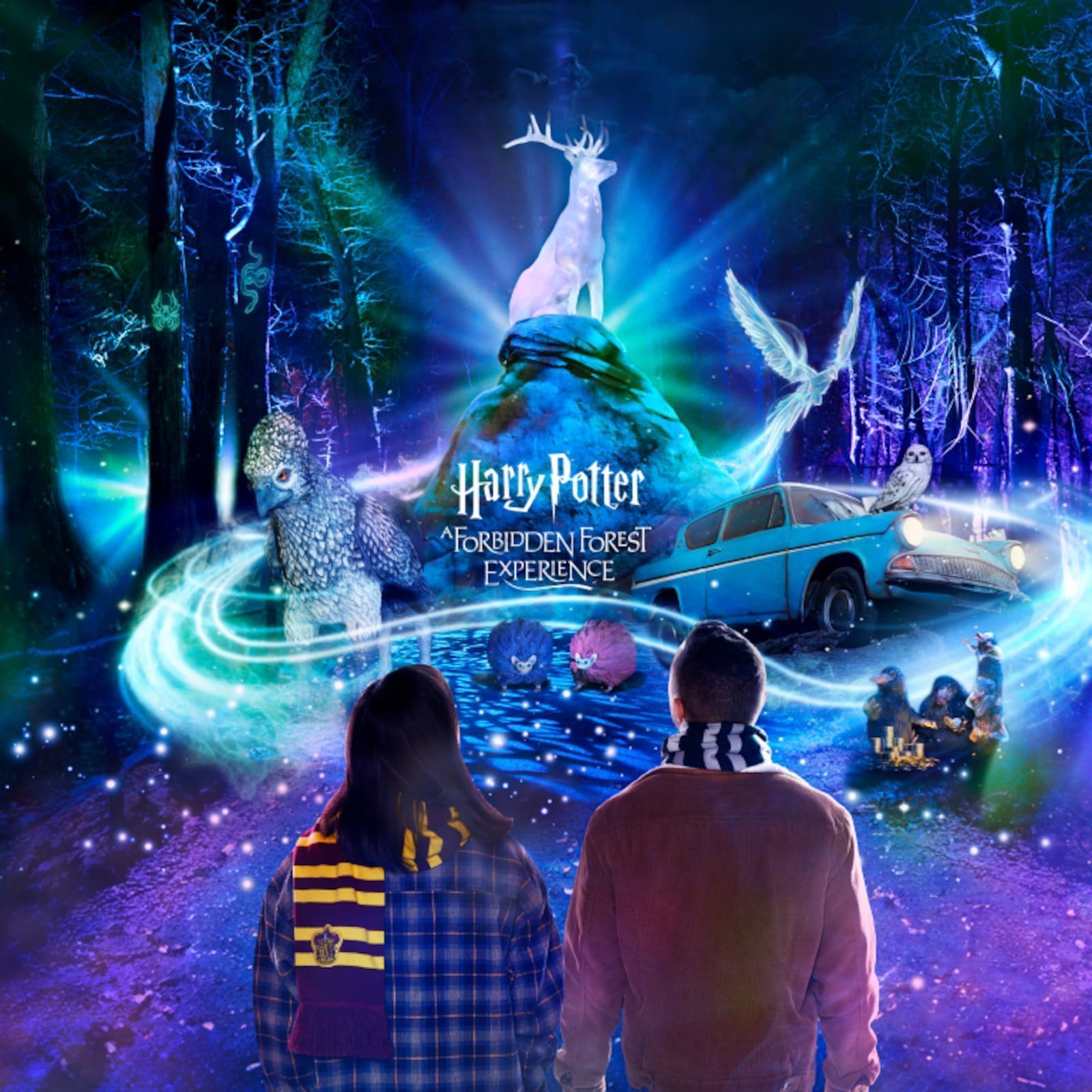 1600x1600 Traveling 'Harry Potter: A Forbidden Forest Experience' opens in region soon