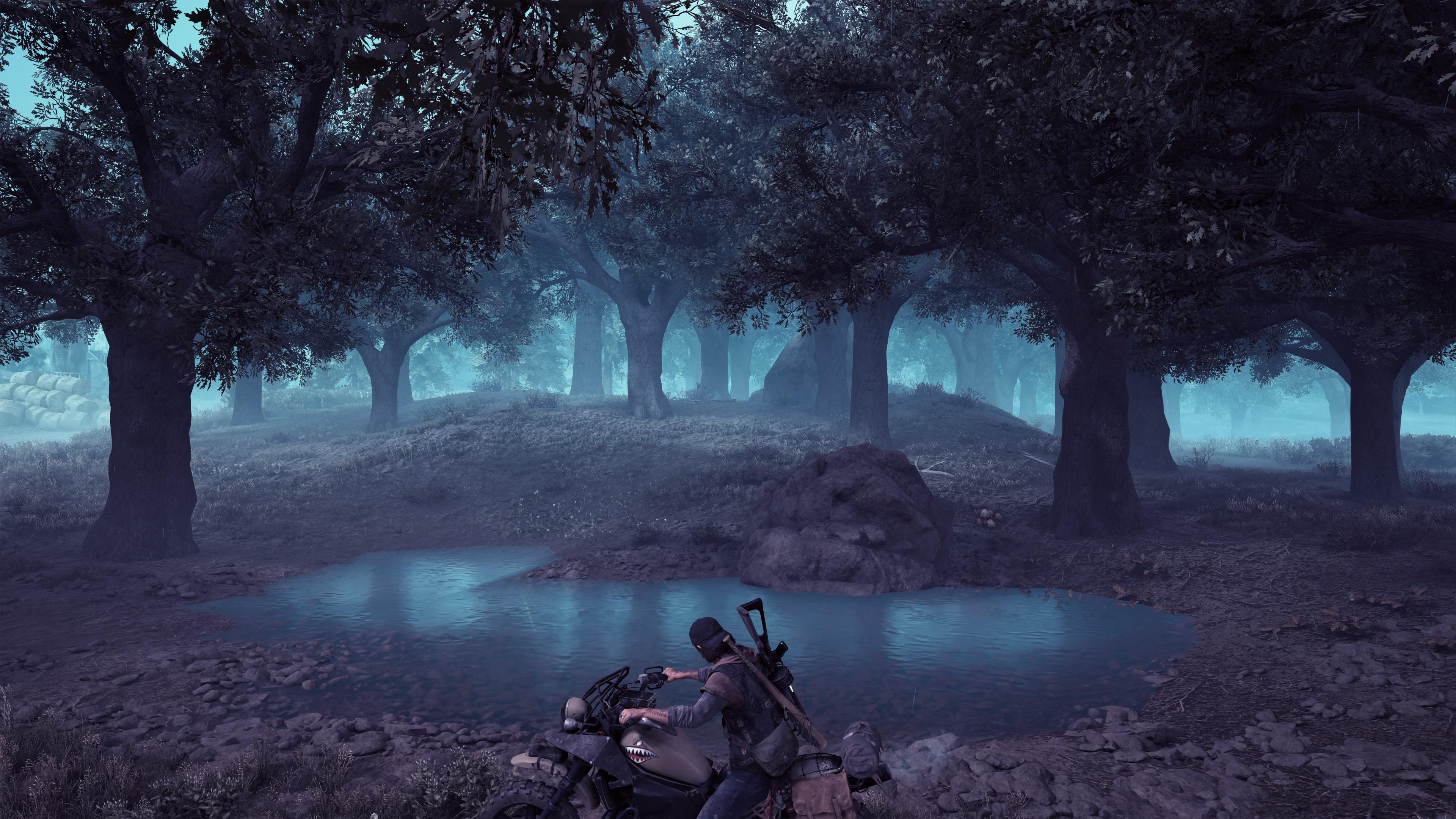3840x2160 Hide n Deek! The Forbidden Forest