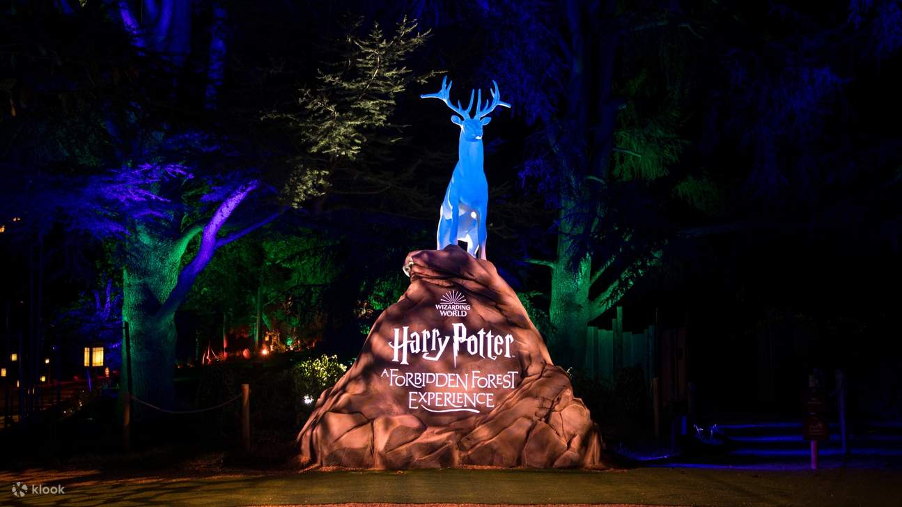 1295x728 Harry Potter: Forbidden Forest Experience (Shenzhen) United States