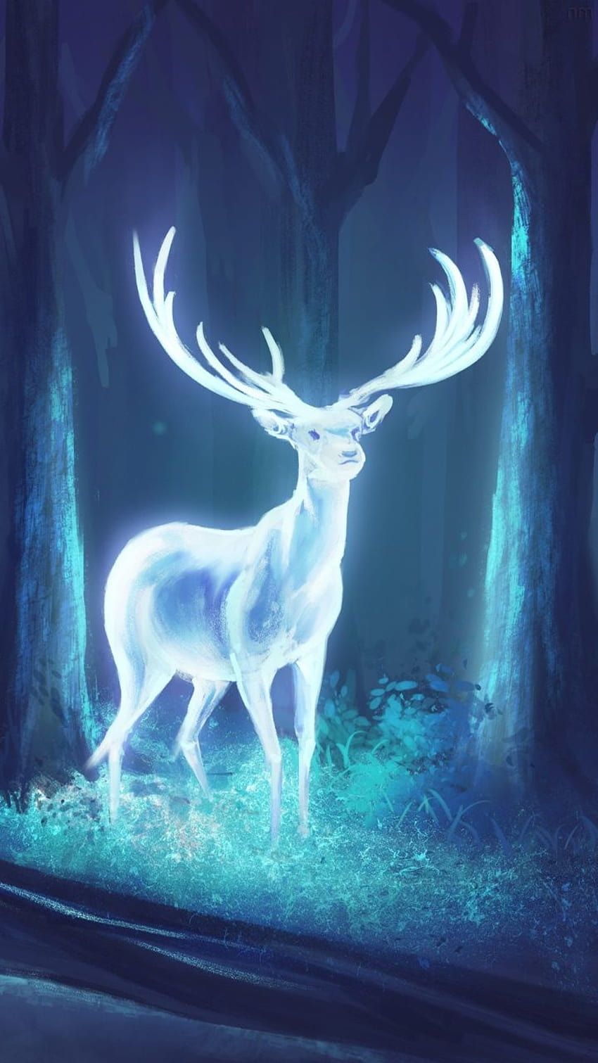 850x1511 Harry Potter Forest, the forbidden forest harry potter HD phone wallpaper