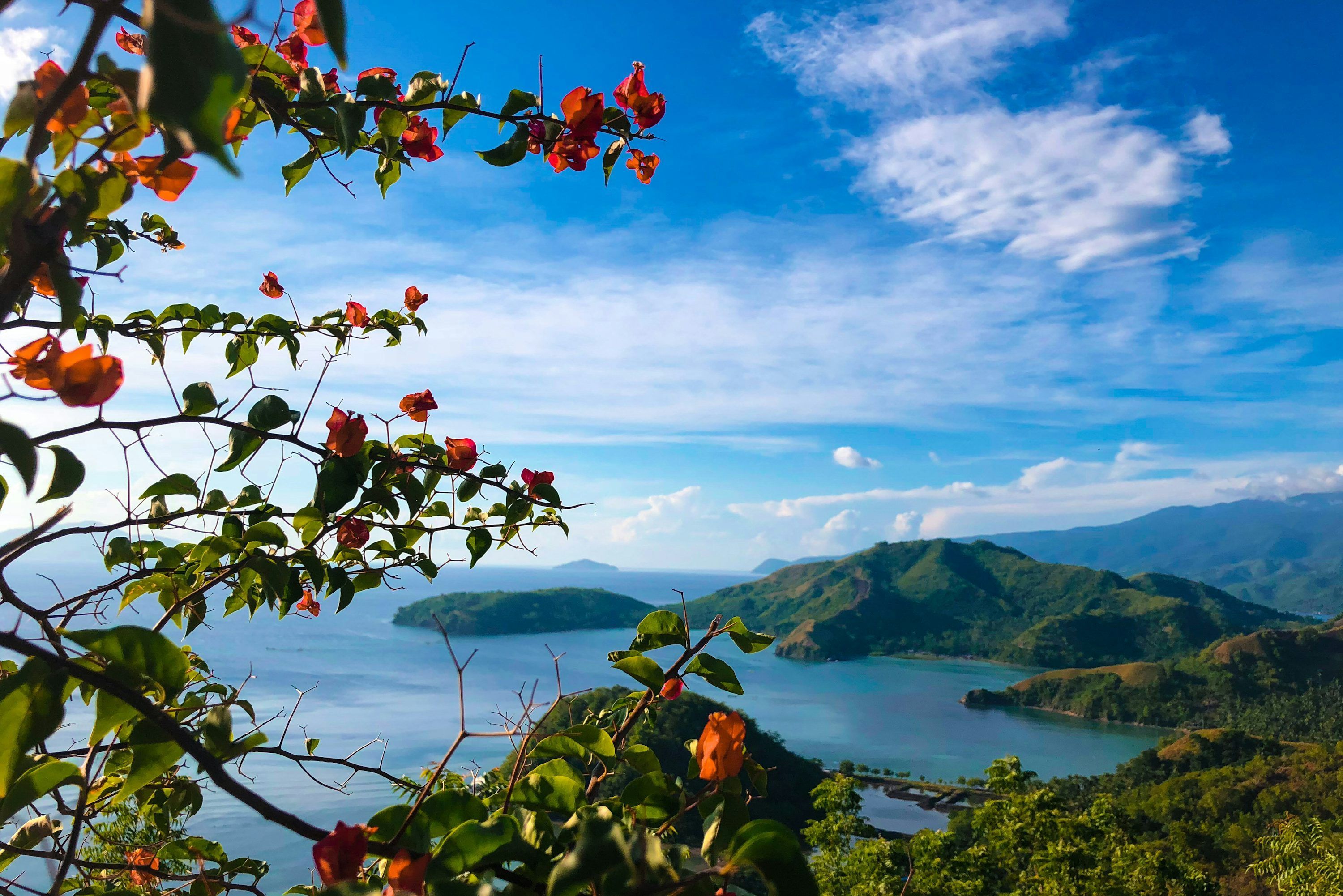 3000x2002 Davao Picture. Download Free Image