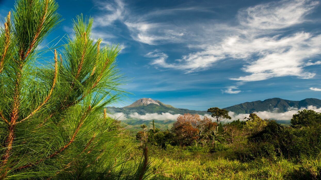 1244x700 Unveiling Davao City: Beyond the Usual Tourist Tracks Agoda: See The World For Less