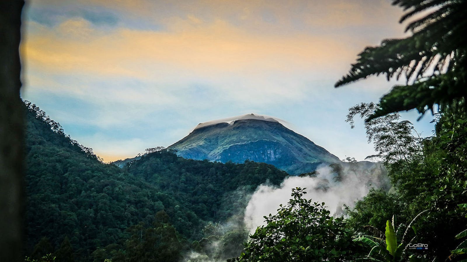 1600x900 Mindanao Montane Rainforests