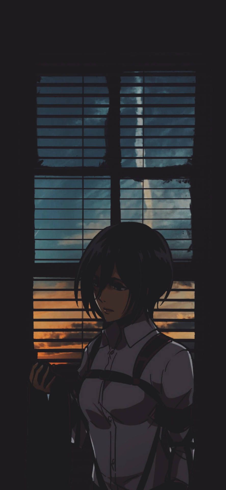 887x1920 Download Sad Mikasa Attack On Titan iPhone Wallpaper