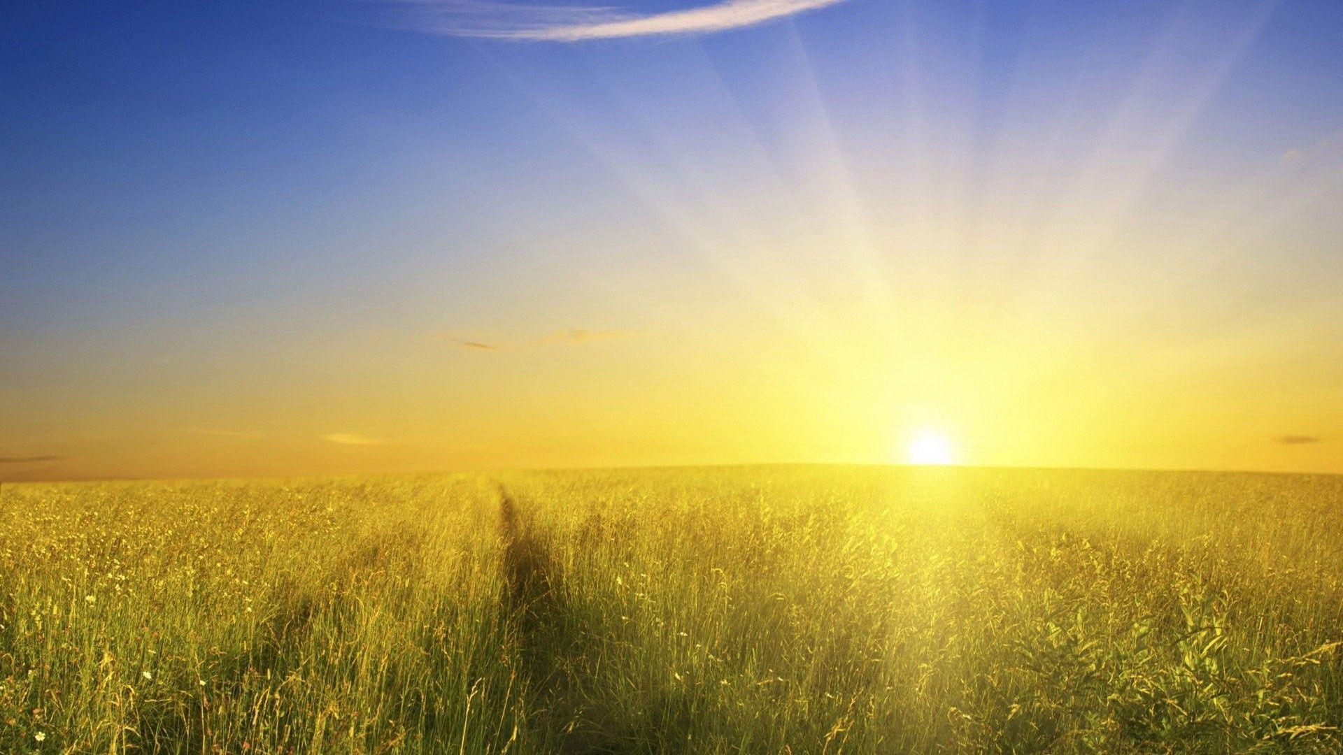 Sunlight Wallpapers - Top Free Sunlight Backgrounds - WallpaperAccess