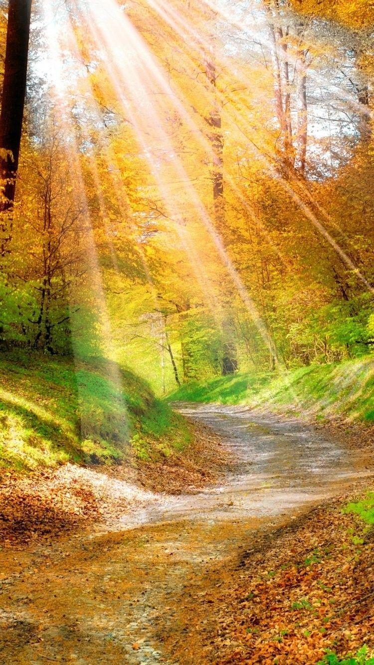 750x1334 Sunlight iPhone 6 Wallpaper 36044 iPhone 6 Wallpaper