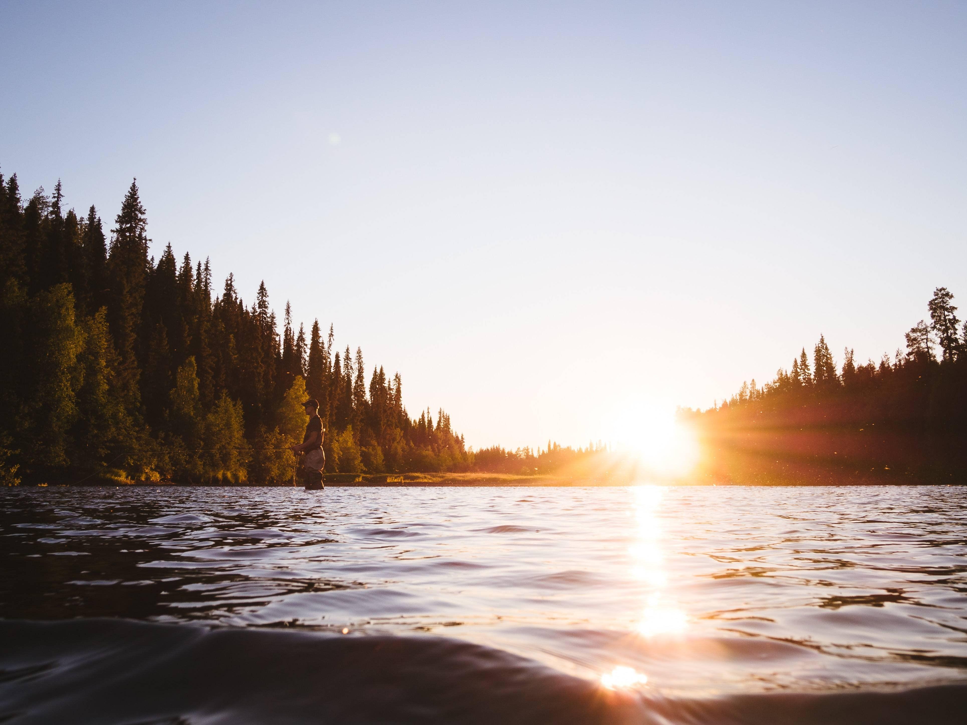3860x2895 sunlight 4K wallpaper for your desktop or mobile screen free