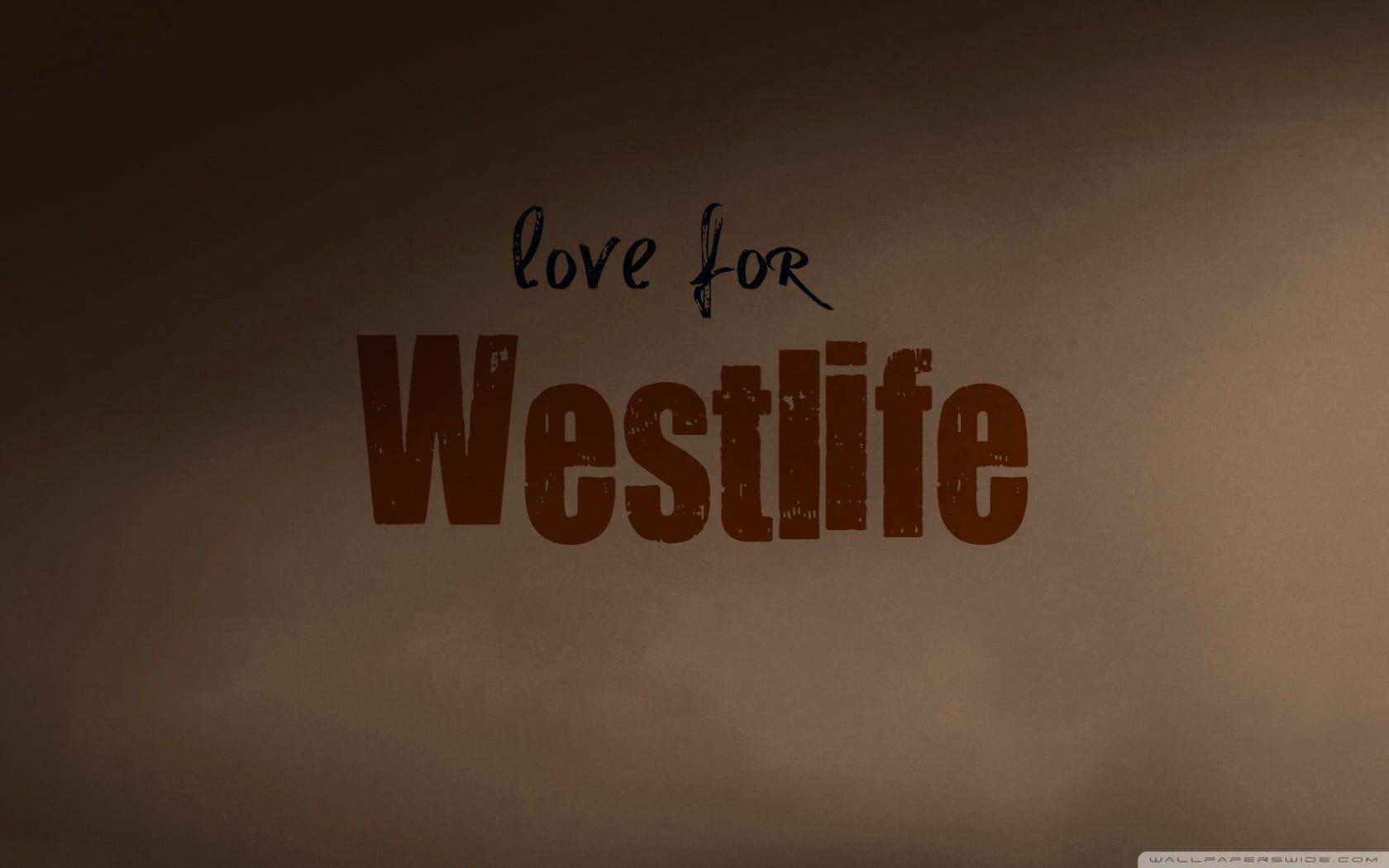 1680x1050 Love for Westlife text overlay, love, typography HD wallpaper