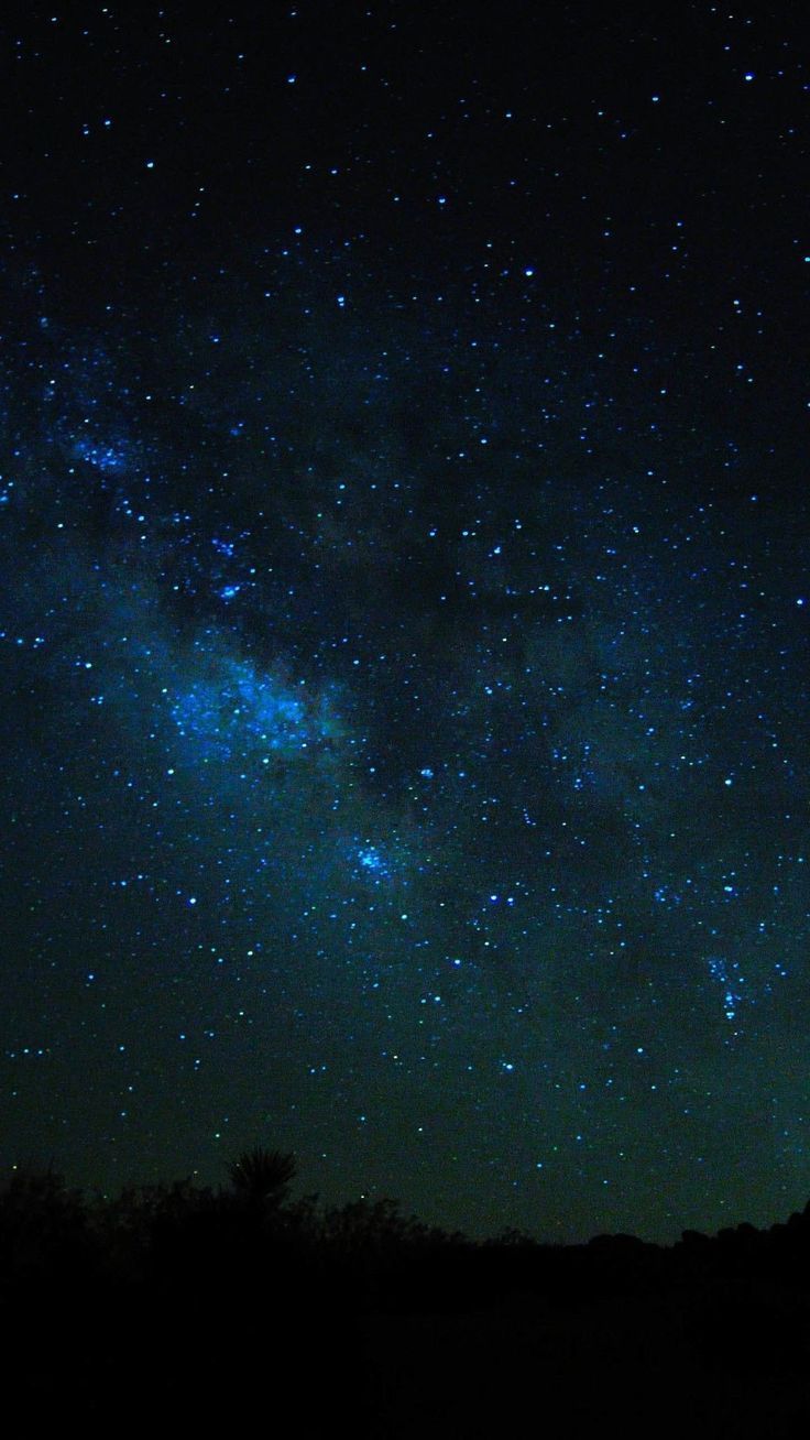 736x1308 A thousands stars