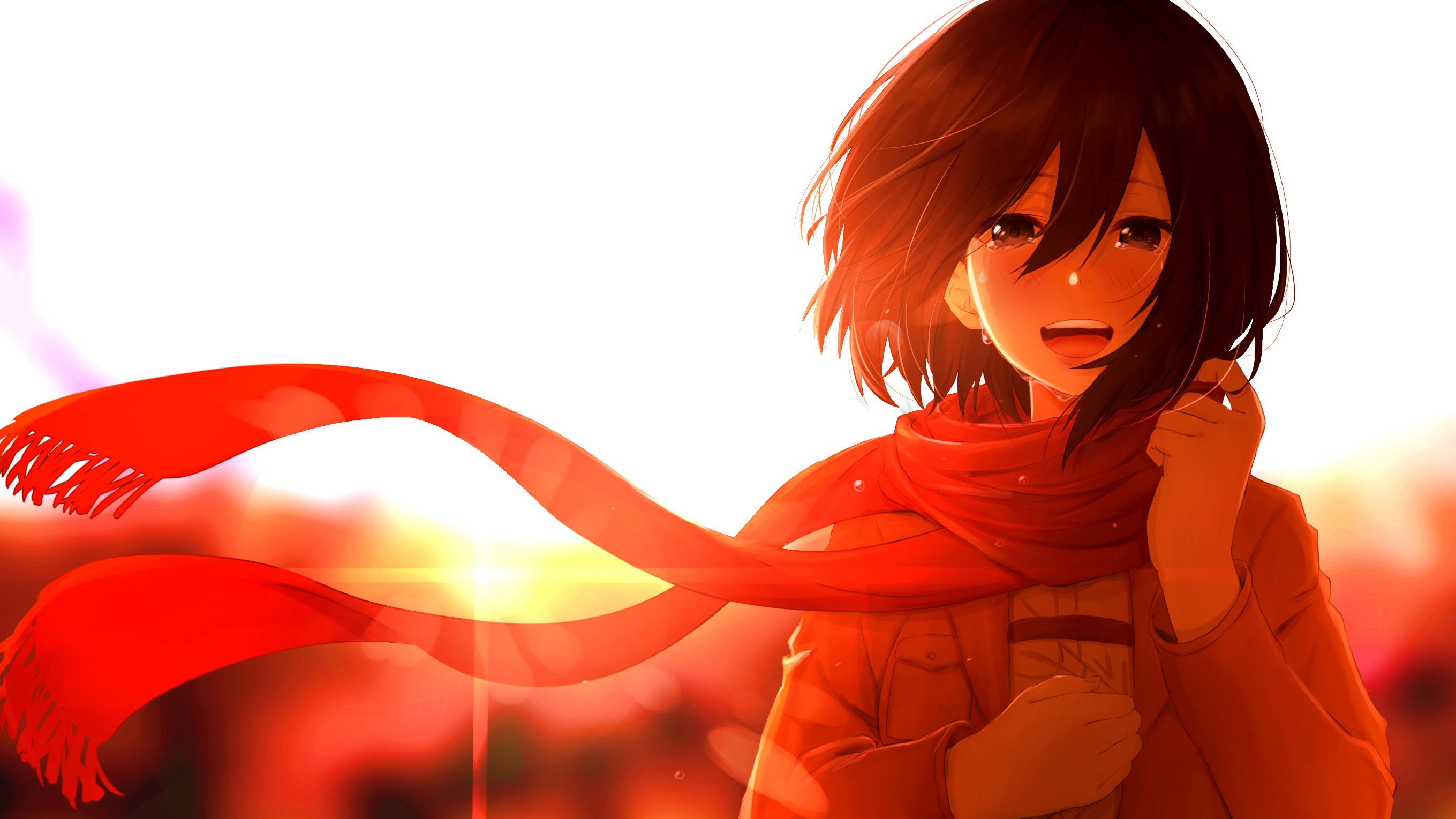 2719x1529 Mikasa Ackerman Anime Wallpaper, HD Anime 4K Wallpaper, Image and Background