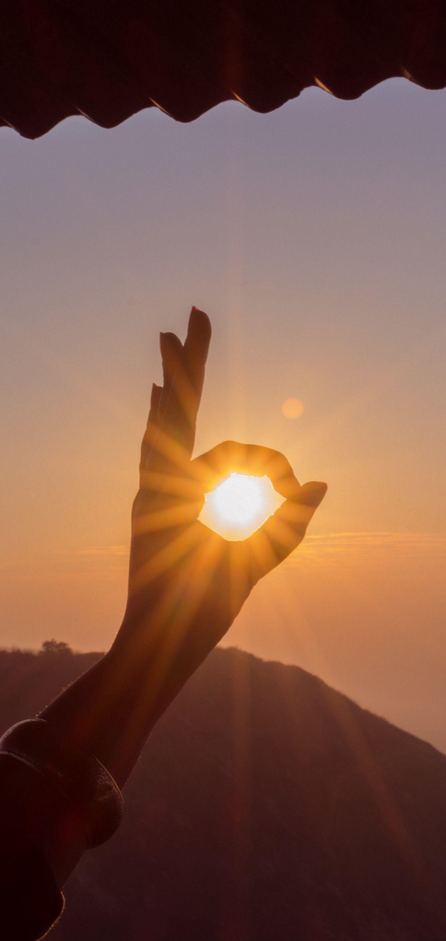 1440x3040 Hand Sun Rays Nature Wallpaper .