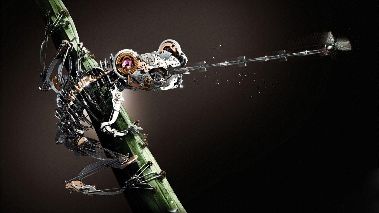 1300x731 Free download Cool Crazy Frog Wallpaper HD photo Get Rid Of