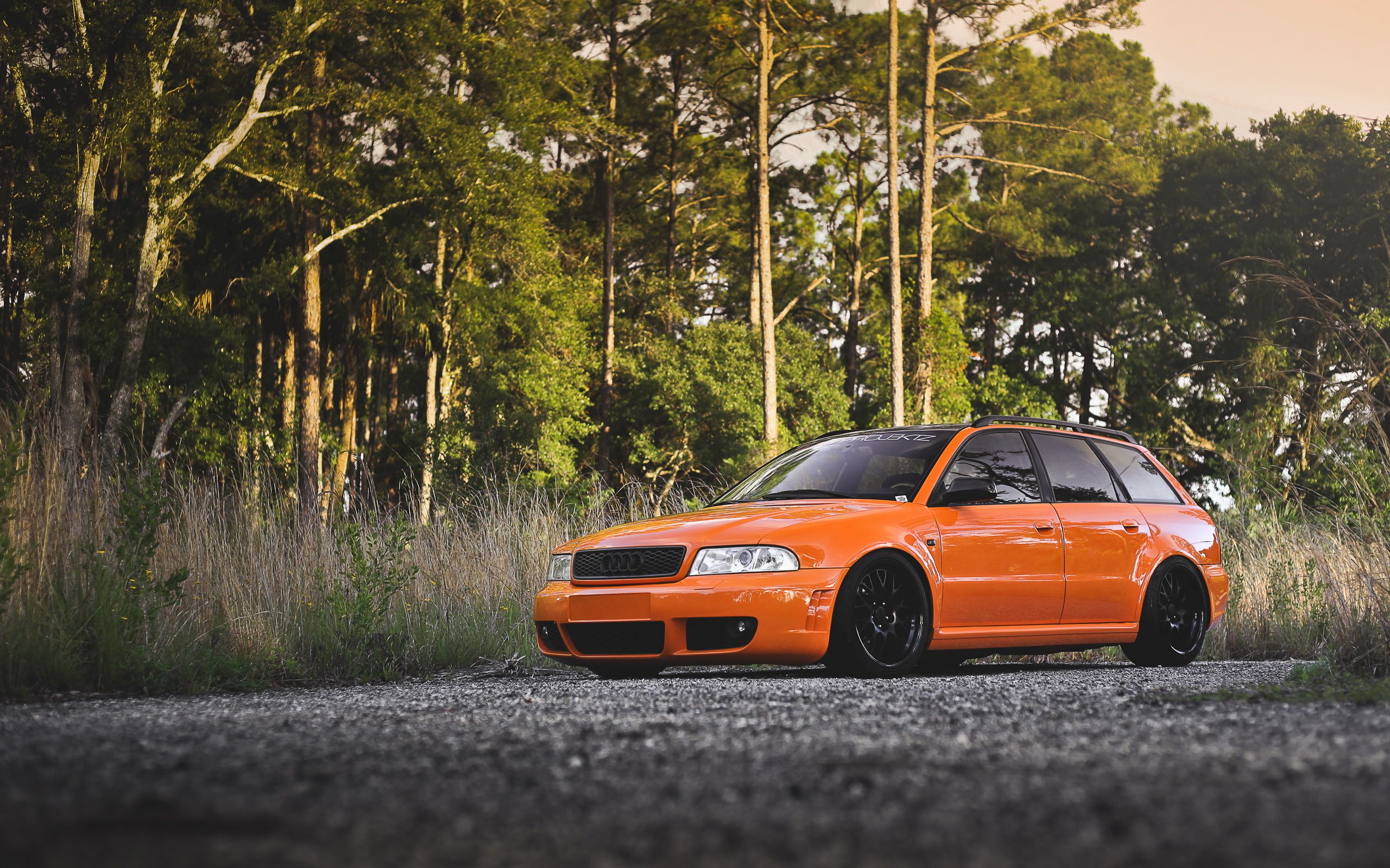 2560x1600 Wallpaper forest, trees, Audi, tuning, universal, audi rs4 for mobile and desktop, section audi, resolution 2560x1600