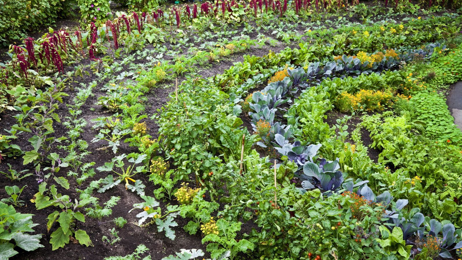 1600x900 Permaculture gardening projects: 3 DIY jobs for the backyard. Homes and Gardens