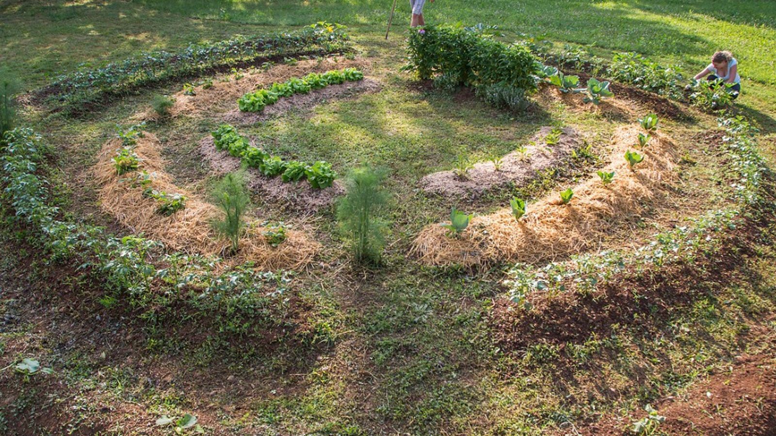 1600x900 Permaculture Gardens Of Permaculture Gardening. Gardening Know How