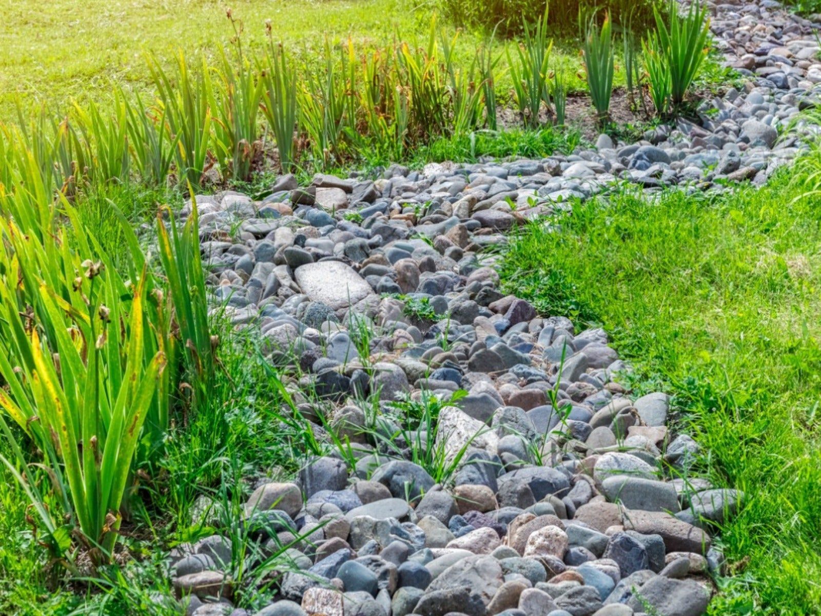 1600x1200 Building Permaculture Swales In The Home Landscape. Gardening Know How
