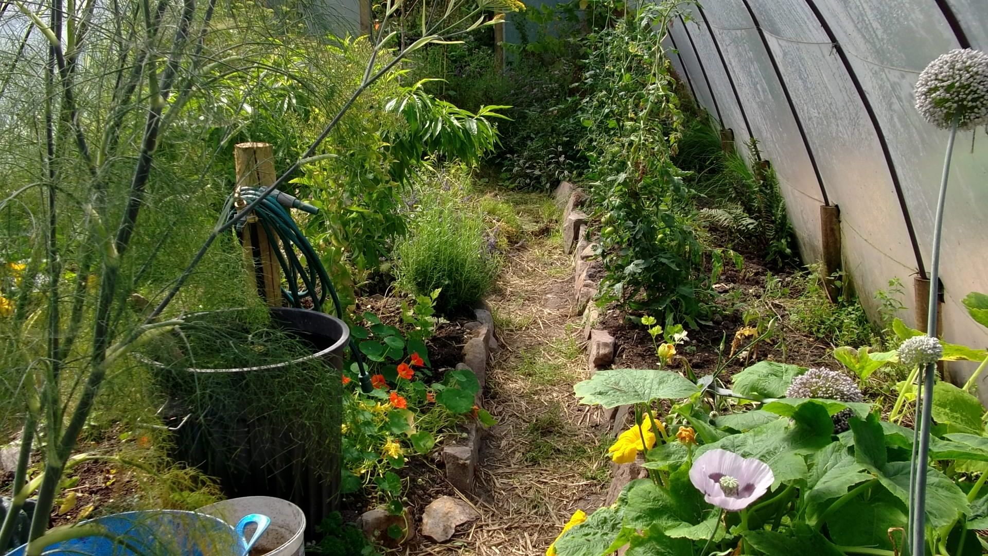 1920x1080 Perennial Vegetables in a Permaculture Garden