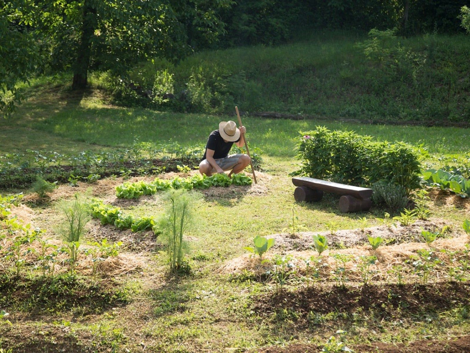 1600x1200 Learn About The Permaculture Principles Of Design. Gardening Know How