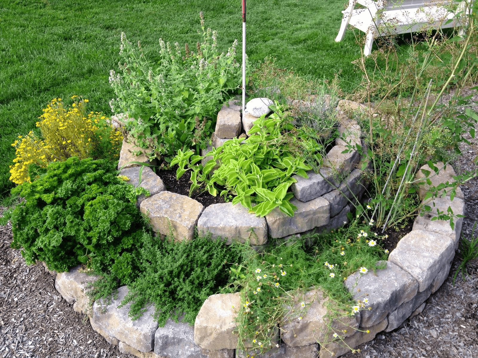 1600x1200 Permaculture for Homeowners: Designing a Sustainable Perennial Garden with Brent Deisher (August 2025)'s Hill Wildflower Preserve
