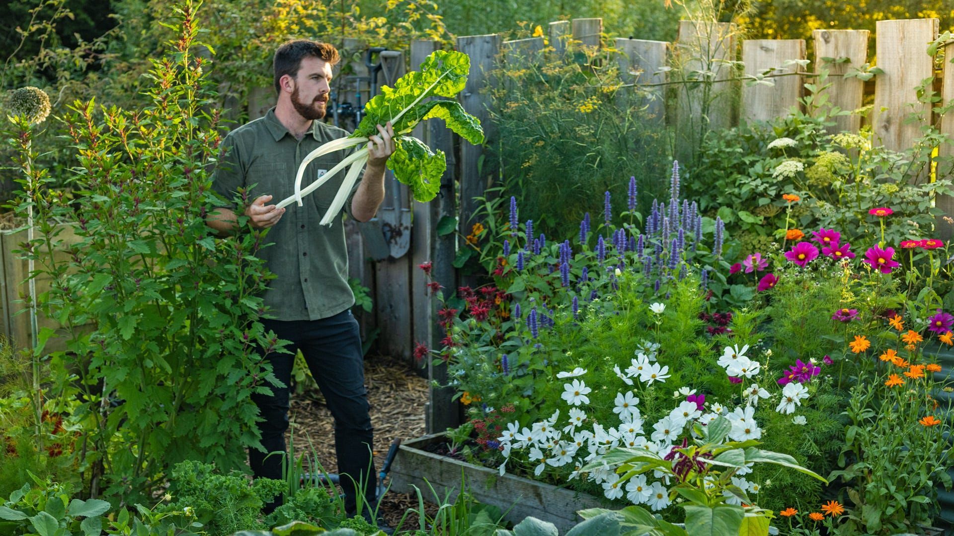 1920x1080 Tropical Abundance, Don't Forget the Insects & Energy Concentration. Huw's Garden Journal
