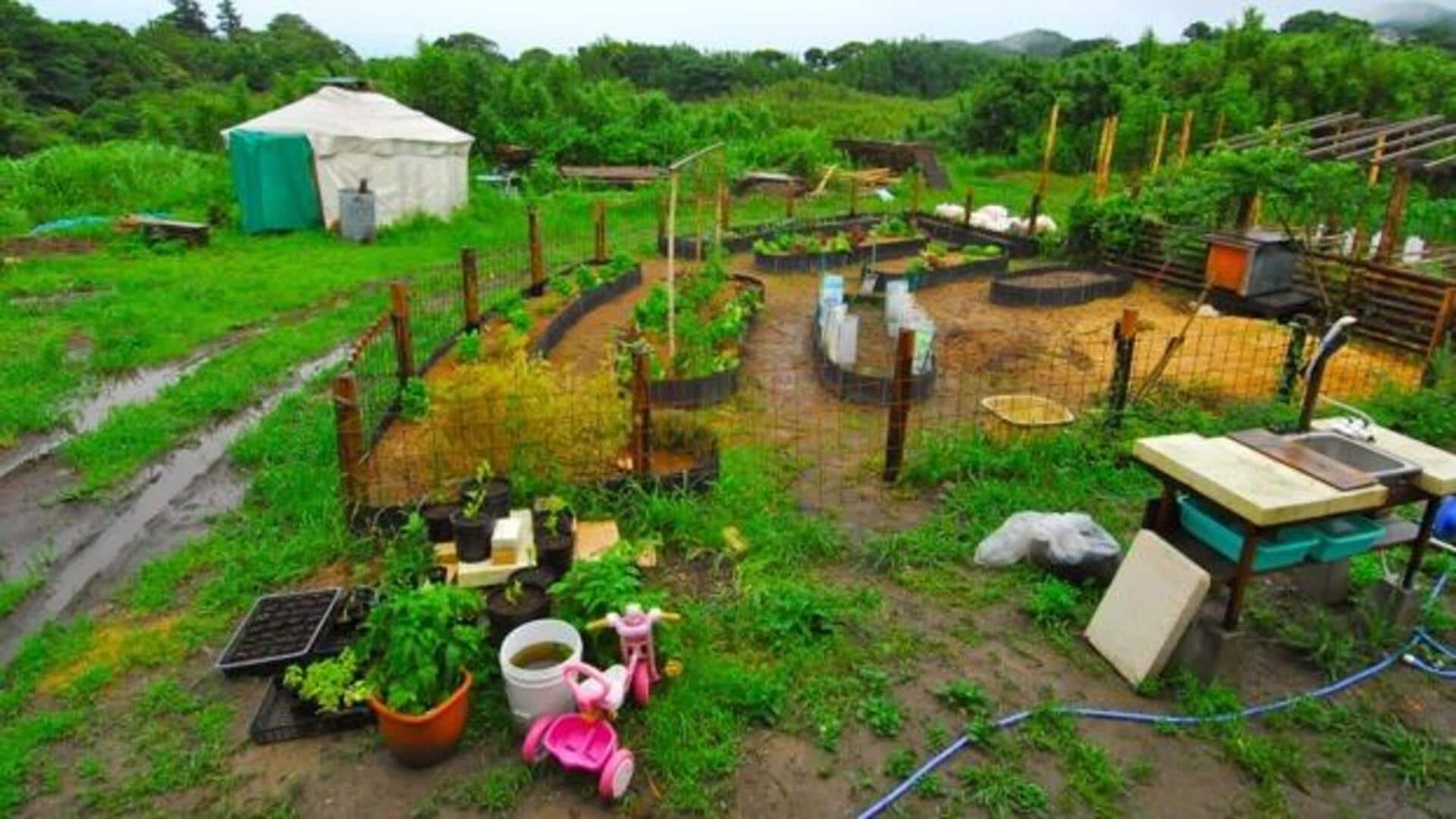 1920x1080 Japanese permaculture: 5 fascinating facts you didn't know
