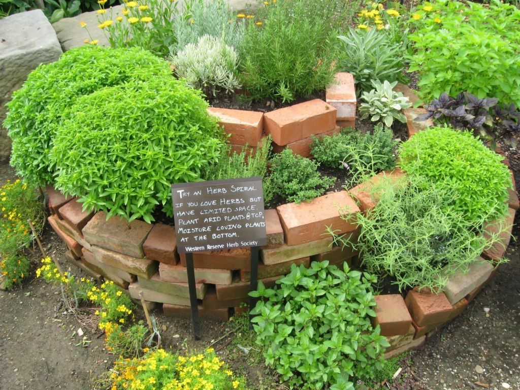 1024x768 Vertical Gardening and Permaculture