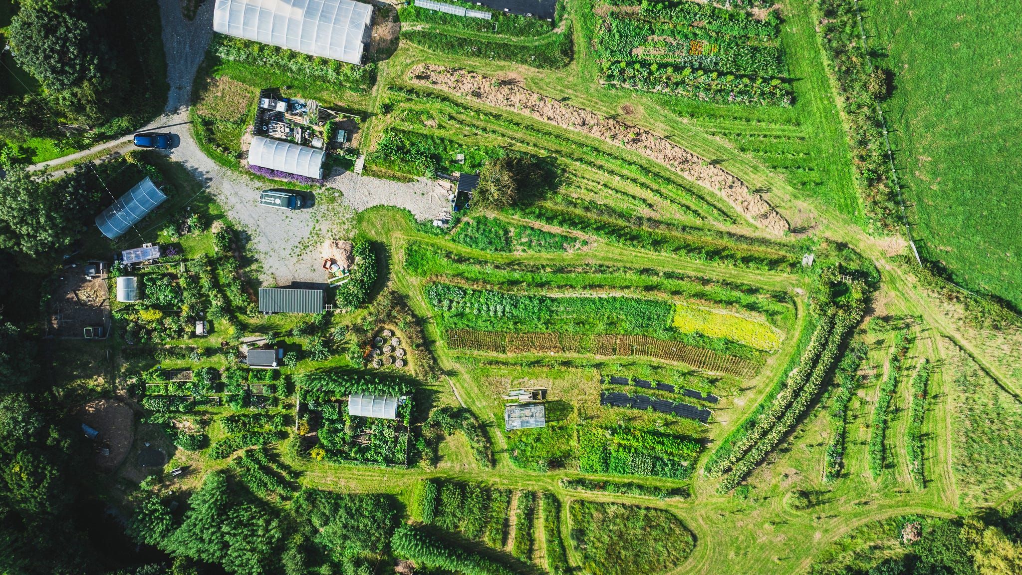 2048x1152 Beyond Heritage and Native: Rethinking What We Plant
