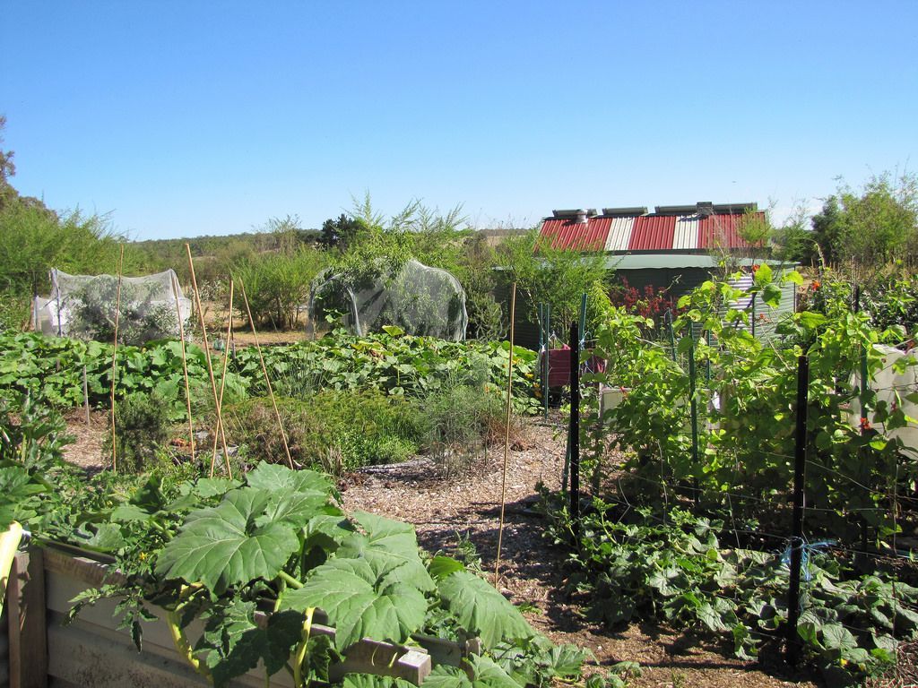 1024x768 permaculture farming, an introduction