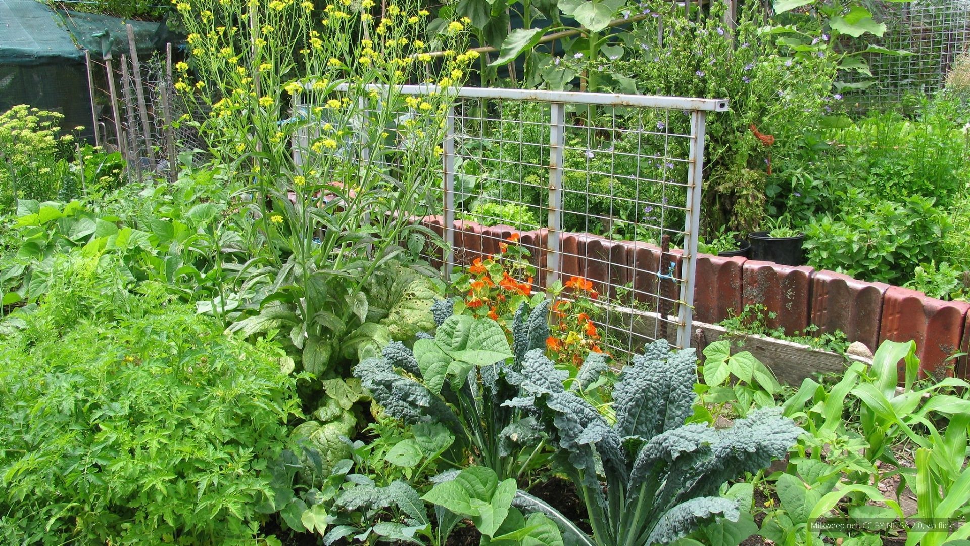 1920x1080 Intro to Permaculture Design