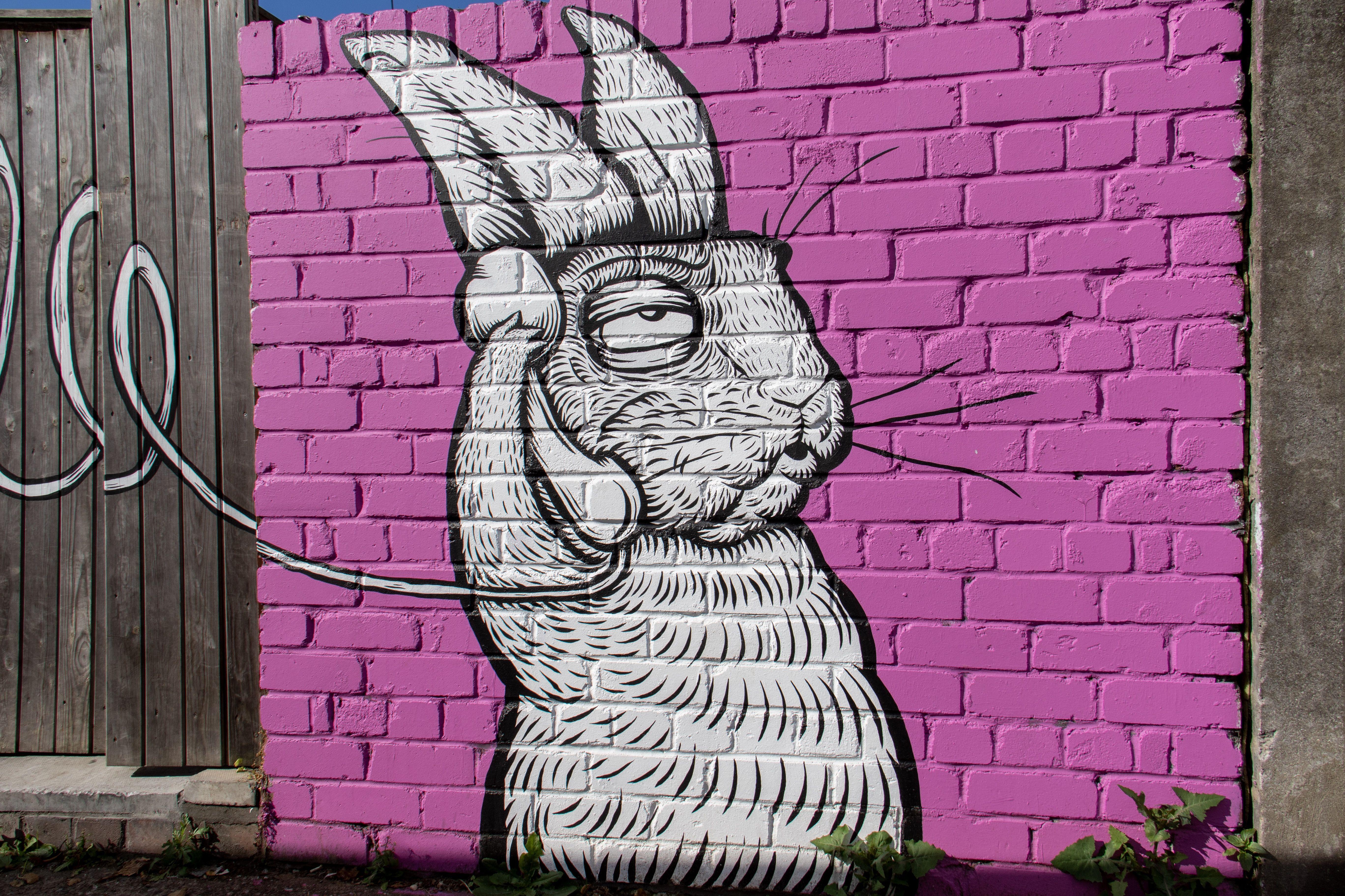 5472x3648 Graffiti Wallpaper: Free HD Download [HQ]