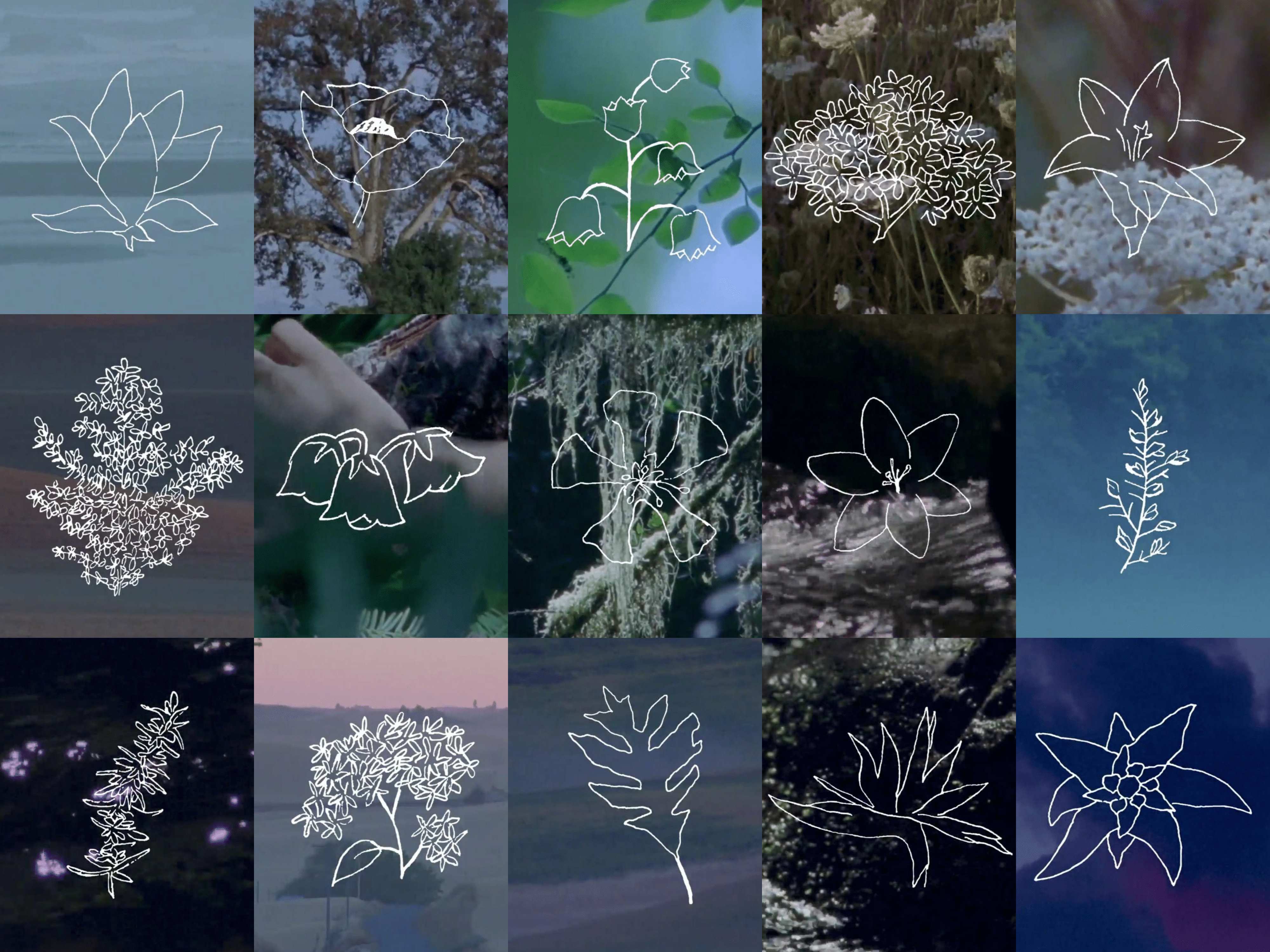 4000x3000 All Shore Illustrations By Side : R Fleet_foxes