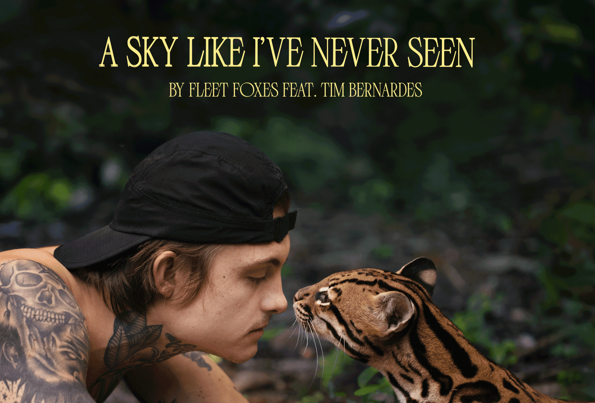 2048x1387 Fleet Foxes share new single “A Sky Like I've Never Seen” to accompany upcoming nature documentary