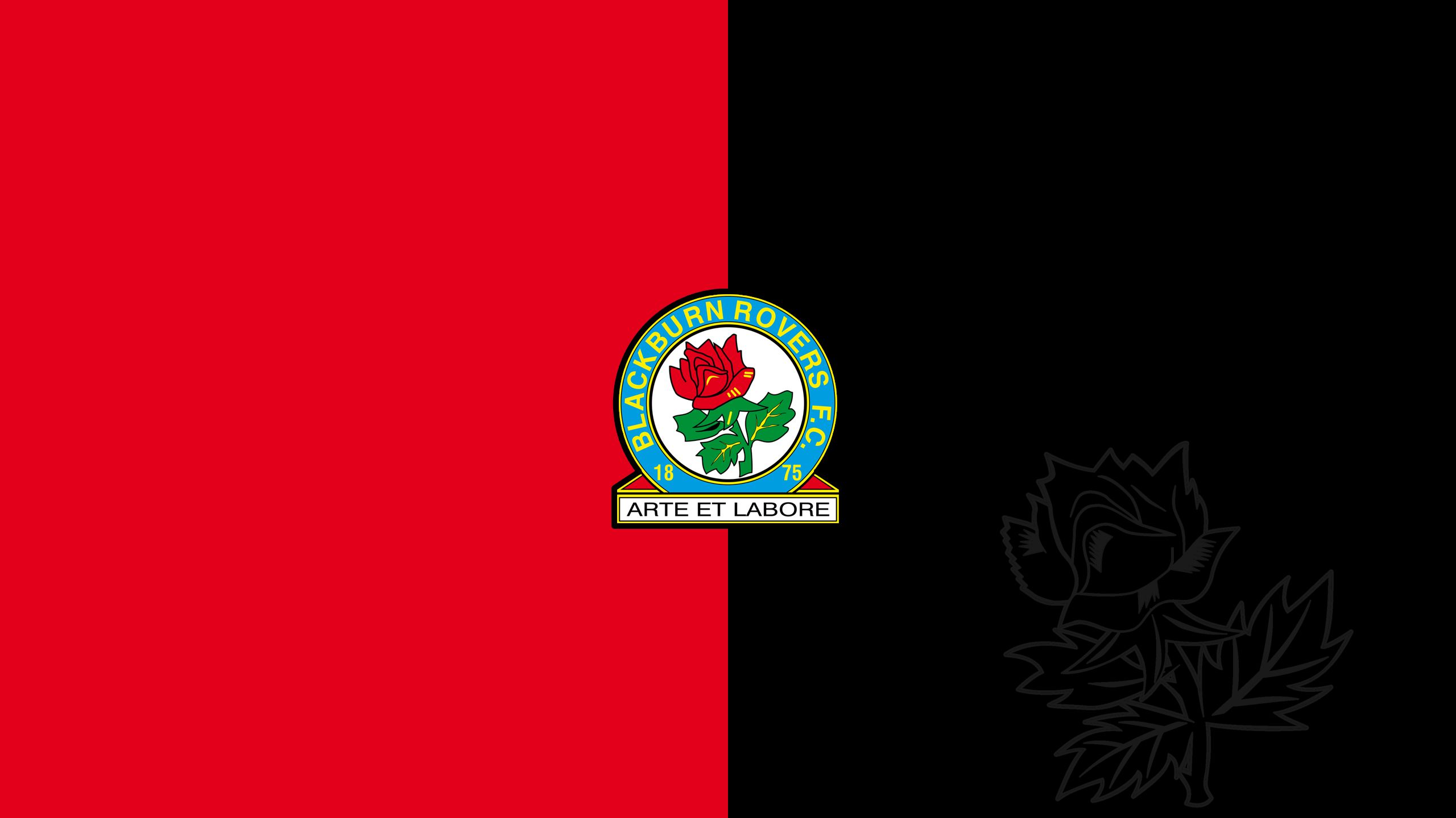 2560x1440 Desktop wallpaper: Blackburn Rovers F C, Sports, Emblem, Logo, Soccer 4K free download for PC. 506343