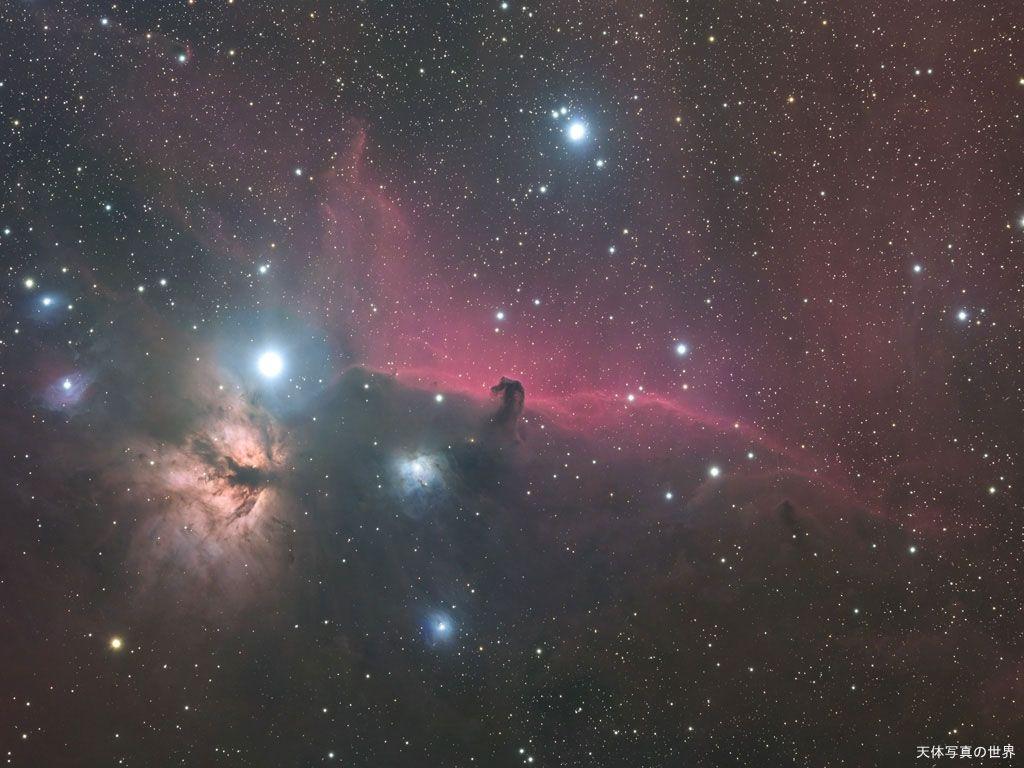 1024x768 Horsehead Nebula Wallpaper. Astrophotography by T.Yoshida
