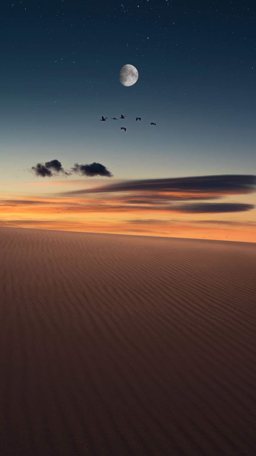 900x1600 Desert Sunset iPhone Wallpaper. ARTE Y CULTURA. Night