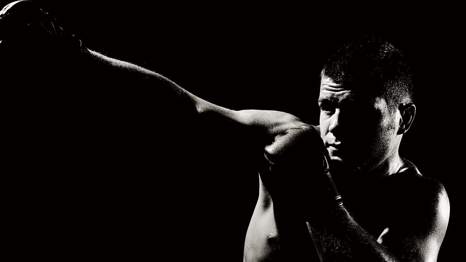 Mixed Martial Arts Wallpapers Top Free Mixed Martial Arts Backgrounds