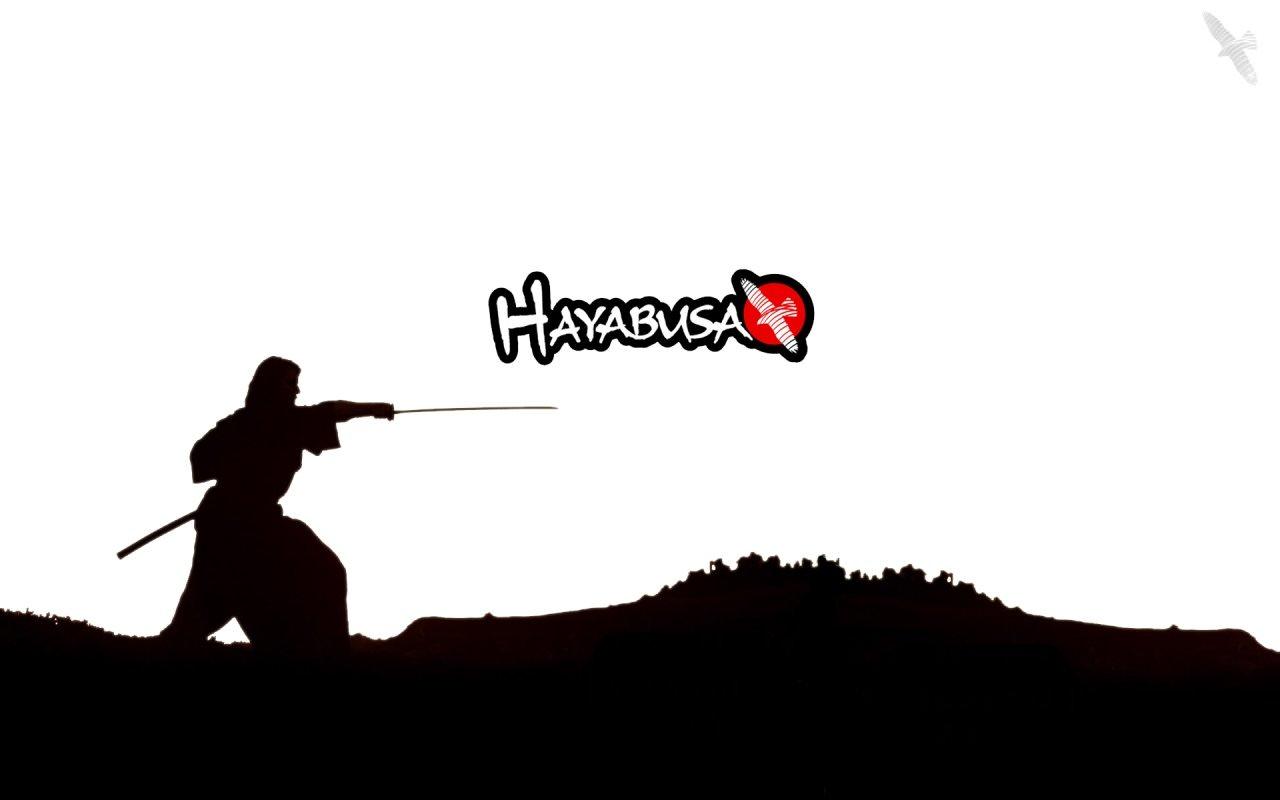 1280x800 MMA (Mixed Martial Arts) wallpaper 1280x800 desktop background