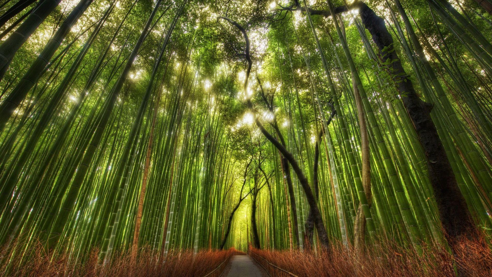 1920x1080 japan wallpaper