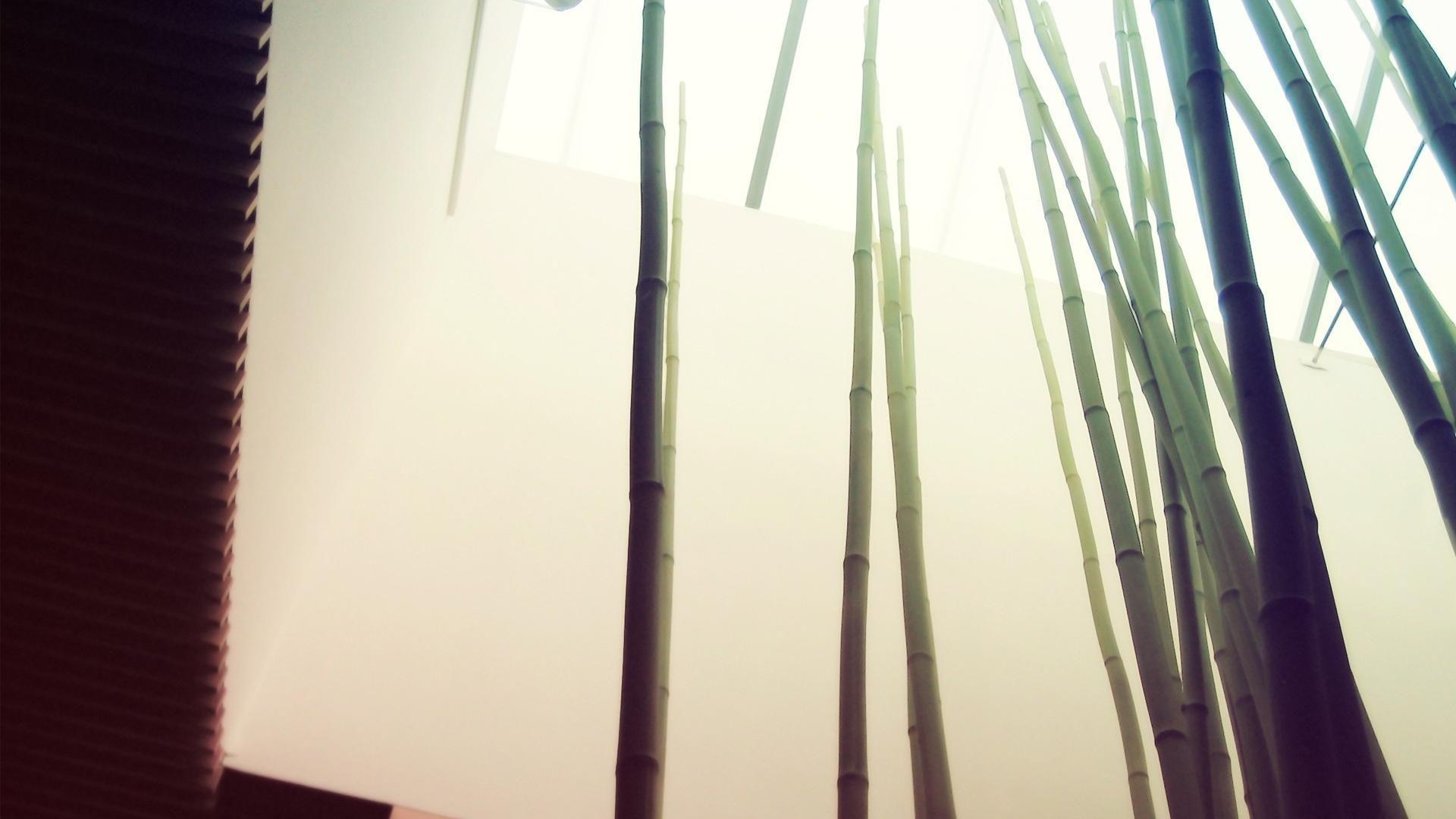 1920x1080 