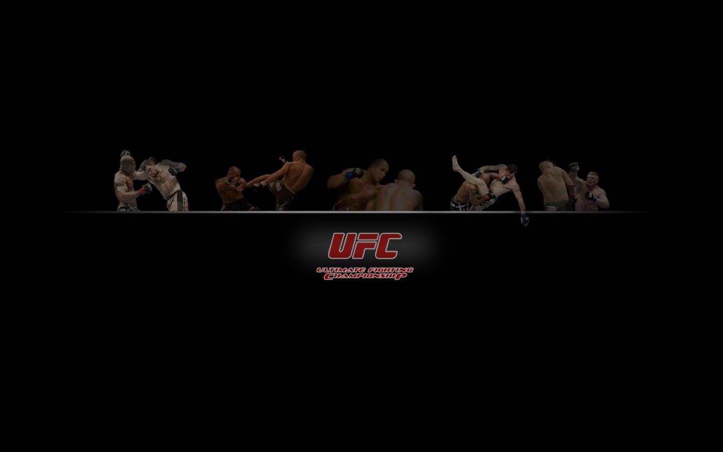 1440x900 MMA (Mixed Martial Arts) wallpaper 1440x900 desktop background