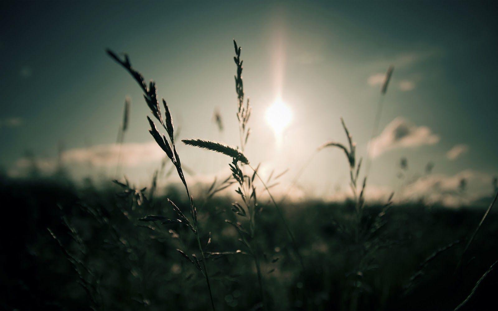 1600x1000 Download Free Modern Morning HD The Wallpaper 1600x1000px. HD