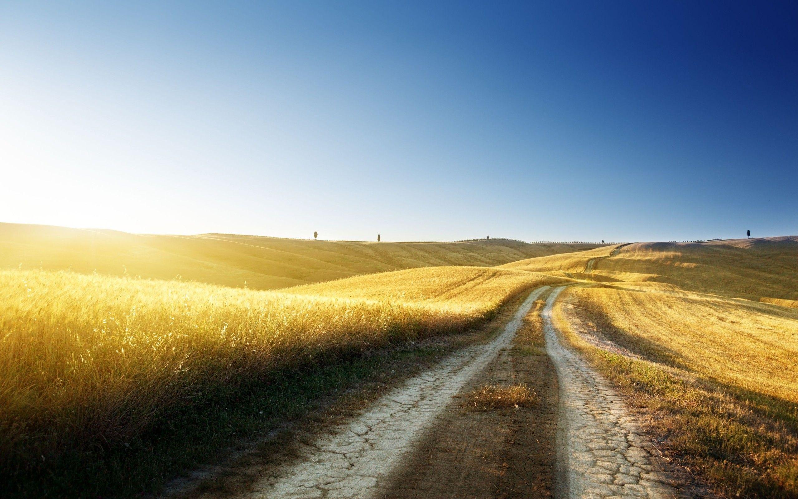 2560x1600 Summer Landscape wallpaper. Summer Landscape