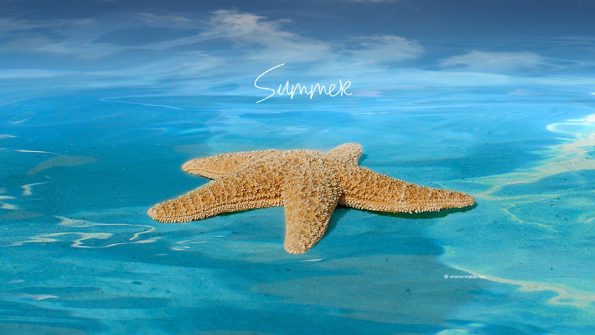 Happy Summer Desktop Wallpapers - Top Free Happy Summer Desktop ...