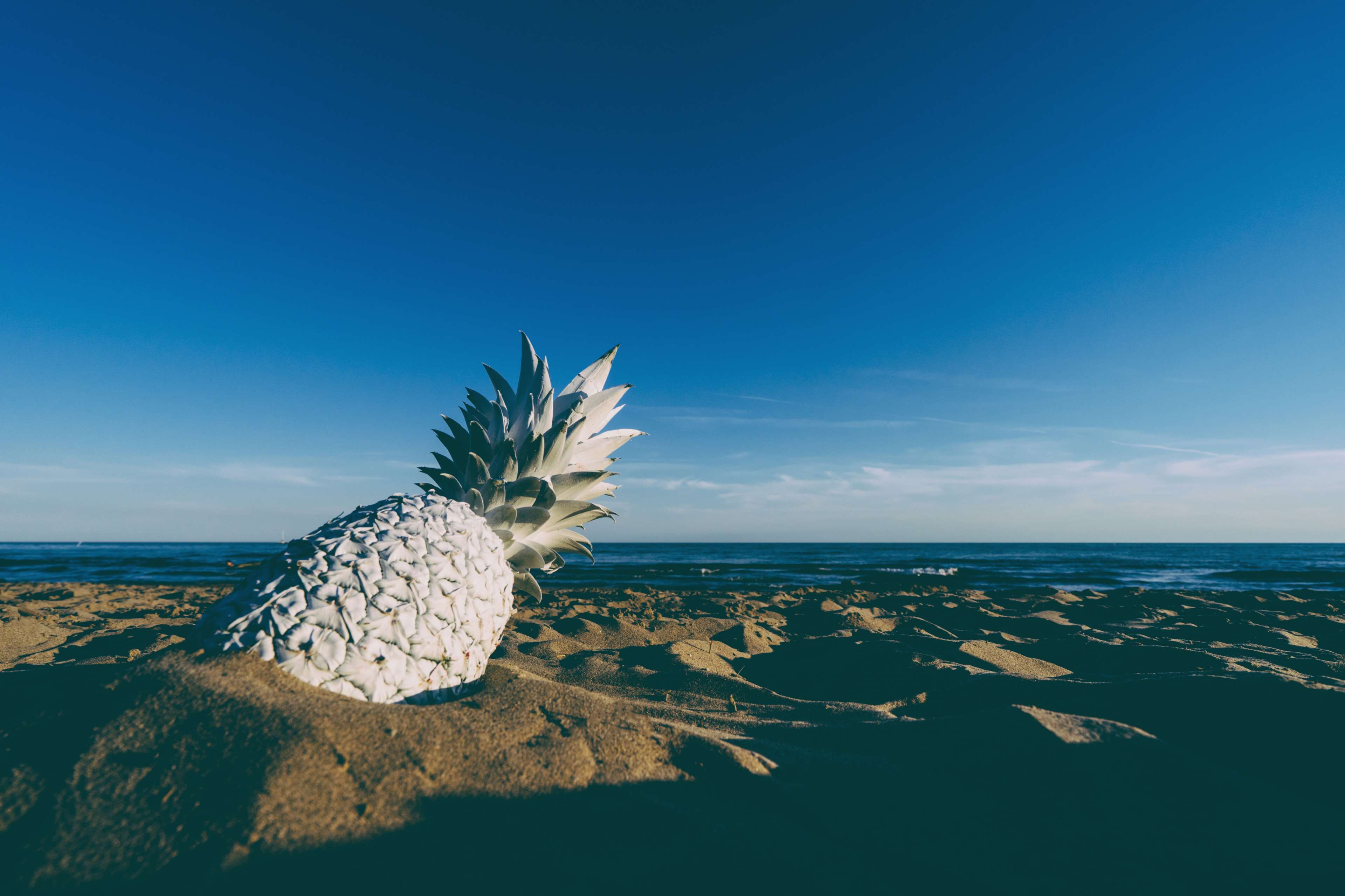 3840x2560 Beach, Beachlife, Fruit, Horizon, Painted, Pineapple