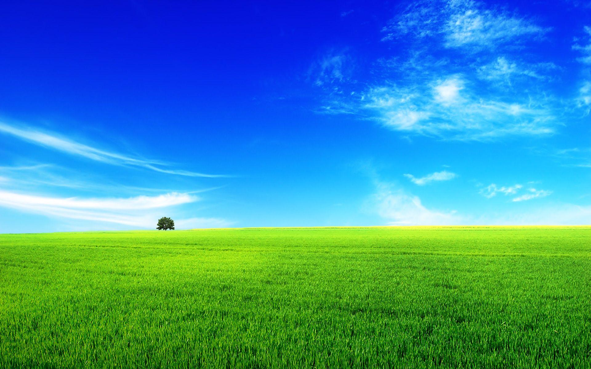 Summer Landscape Wallpapers Top Free Summer Landscape Backgrounds Summer Landscape Wallpapers Top Free Summer Landscape Backgrounds
