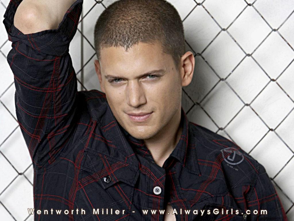 1024x768 Wentworth Miller Wallpaper