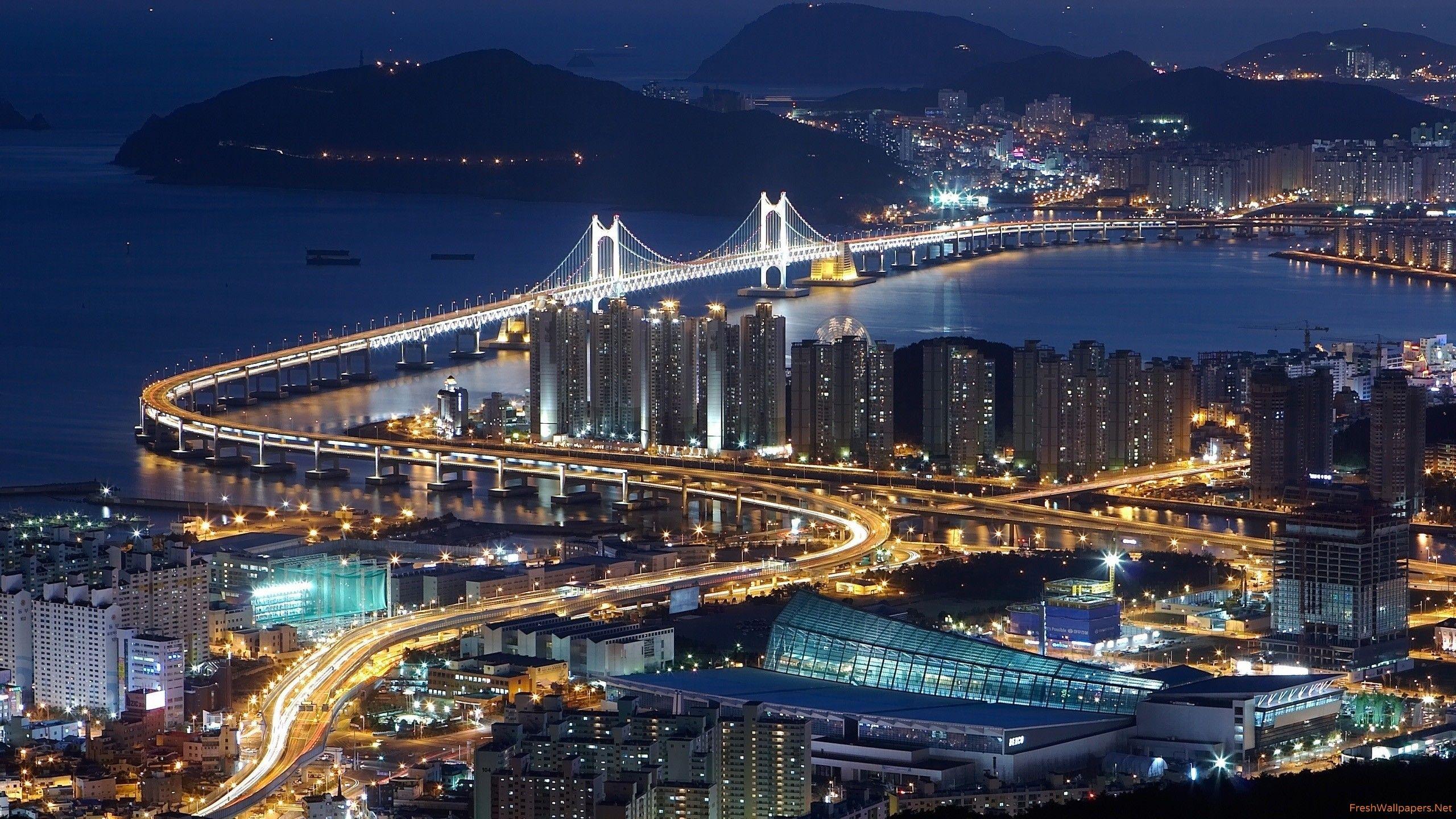 2560x1440 Busan Night Lights South Korea wallpaper