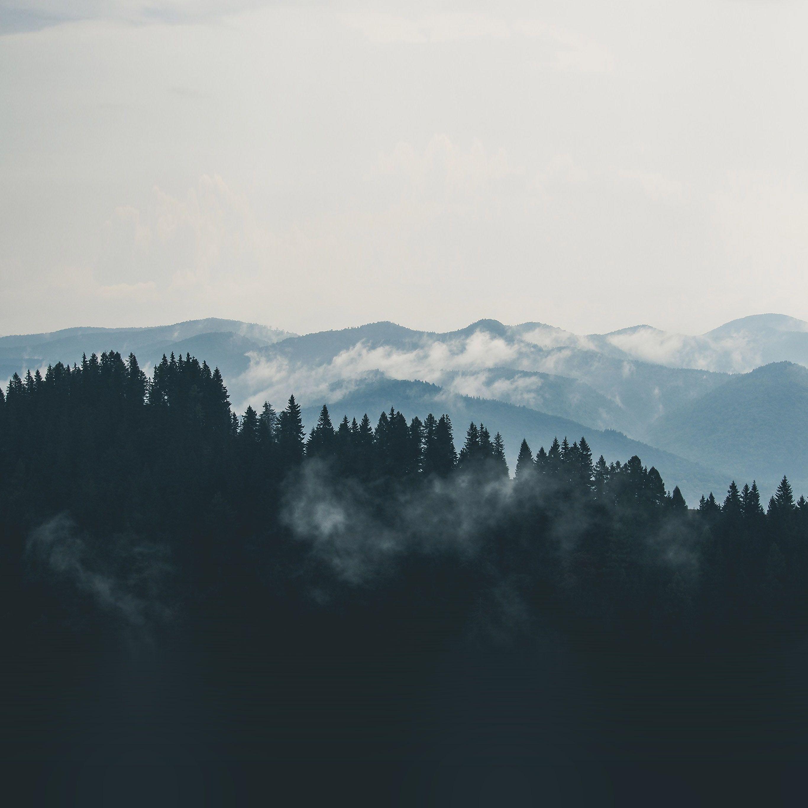 2732x2732 Mountain Fog Nature View Wood Forest Wallpaper